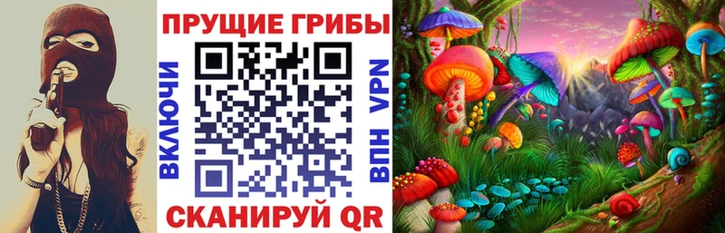 цена Балаково Псилоцибиновые грибы ЛСД