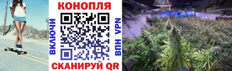 omg ССЫЛКА  сколько стоит  Балаково  МАРИХУАНА SATIVA & INDICA 